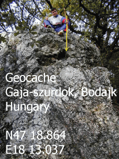 Ott van a ldika...